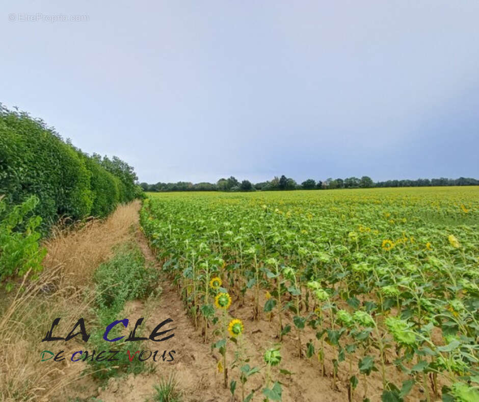 Pavillon plain pied - photo 2