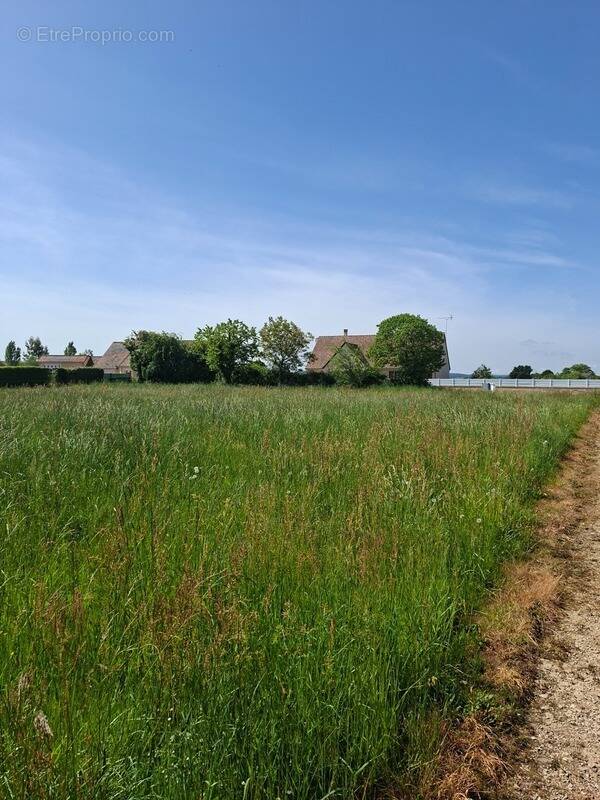 Terrain à FRESNAY-SUR-SARTHE