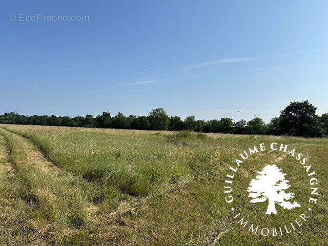 Maison à COSNE-COURS-SUR-LOIRE