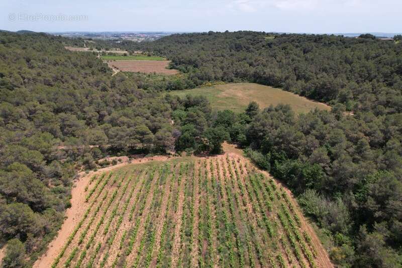 Commerce à CREISSAN