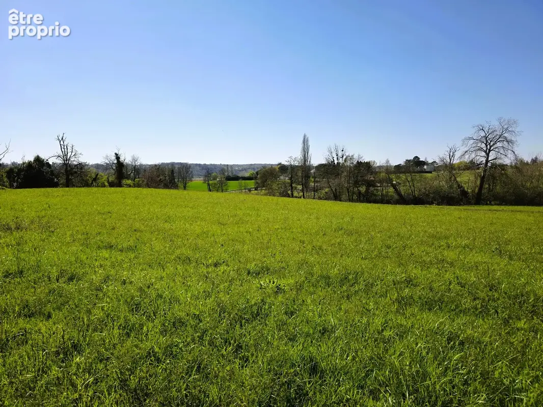 Vente Terrain Agricole Proche Monségur - photo 8