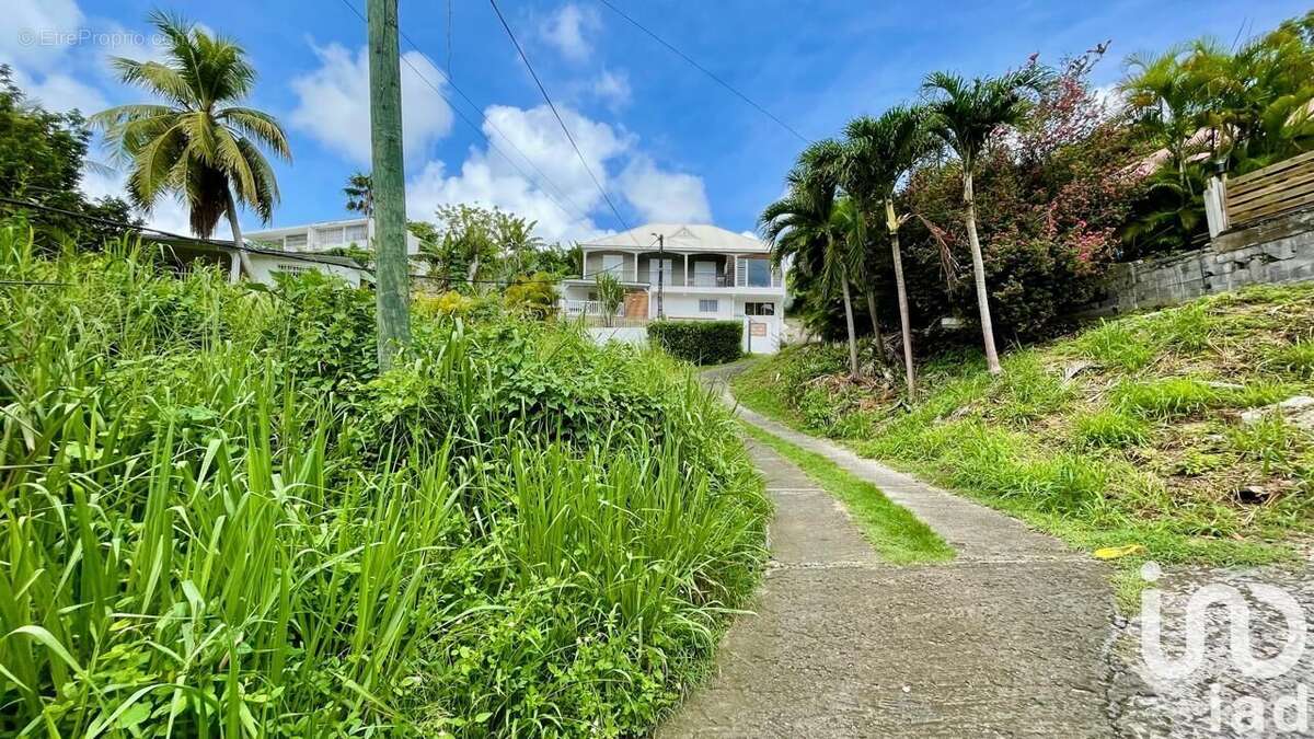 Photo 4 - Terrain à LE GOSIER