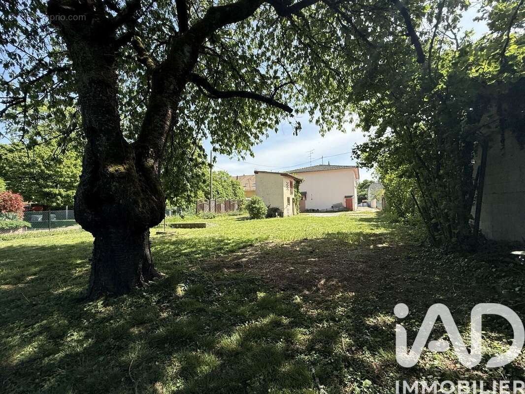 Photo 2 - Maison à LUTTERBACH