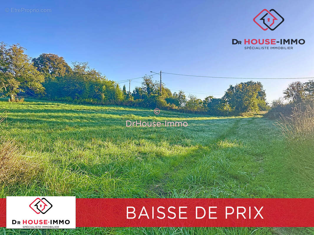 Terrain à SAVIGNAC-LES-EGLISES