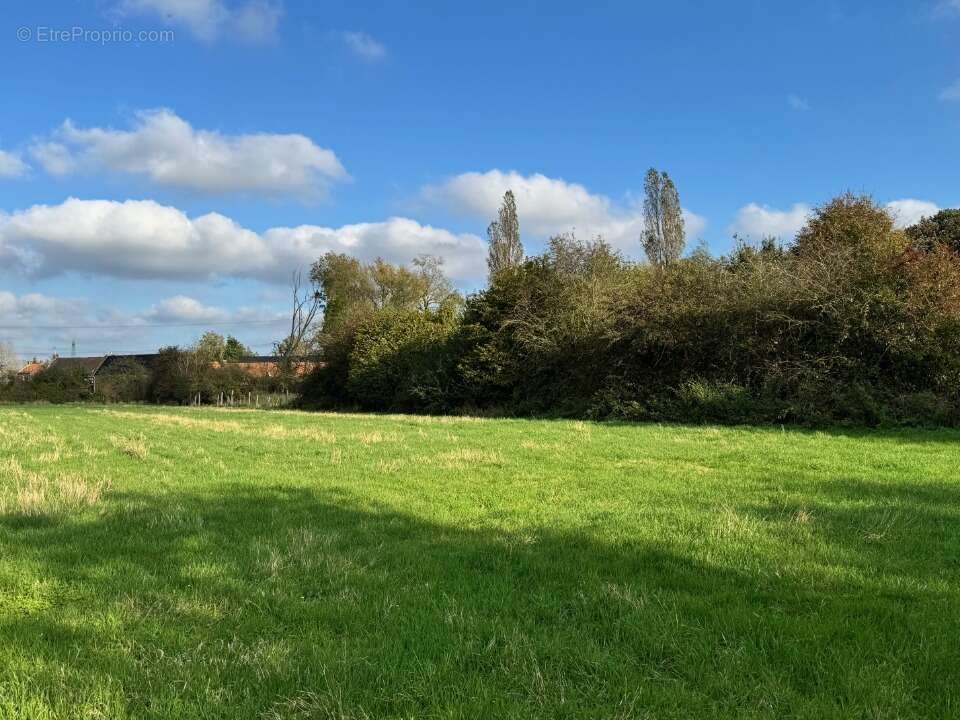 Terrain à BRUILLE-LEZ-MARCHIENNES