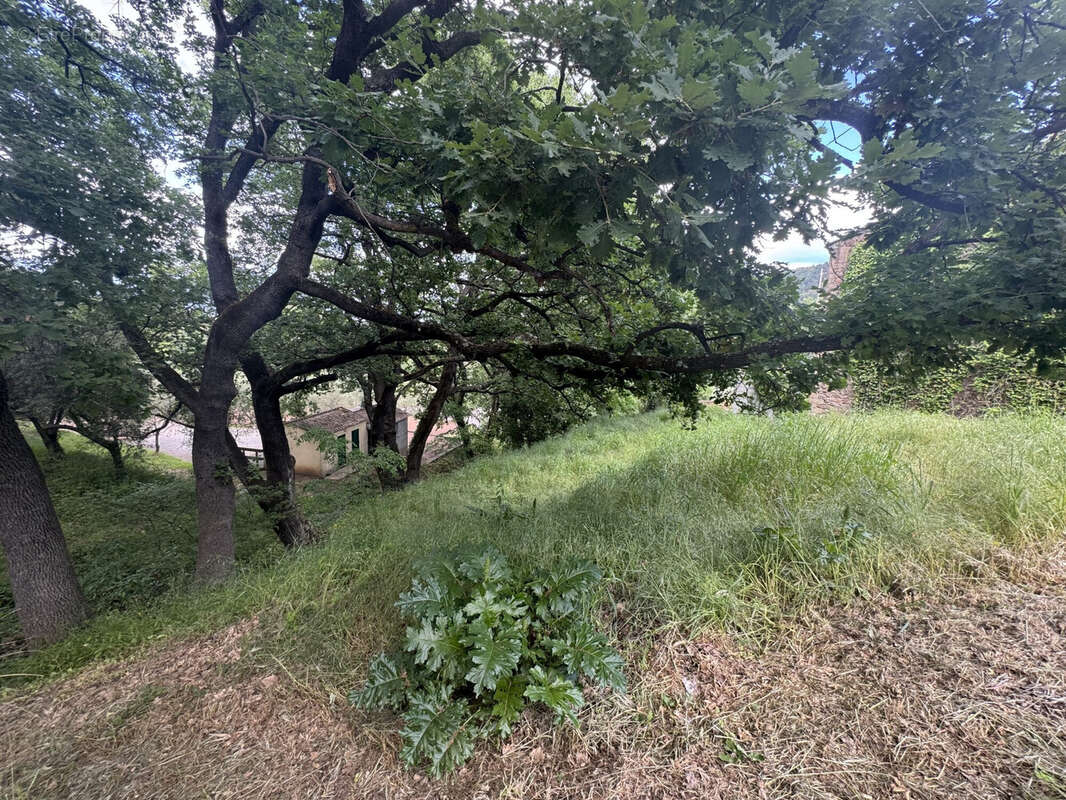 Terrain à LES MAYONS