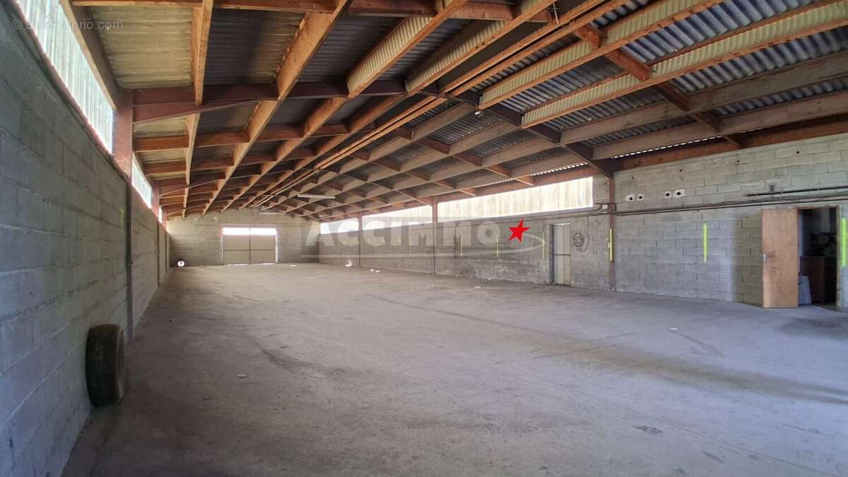 Graulhet - batiment - photo 3