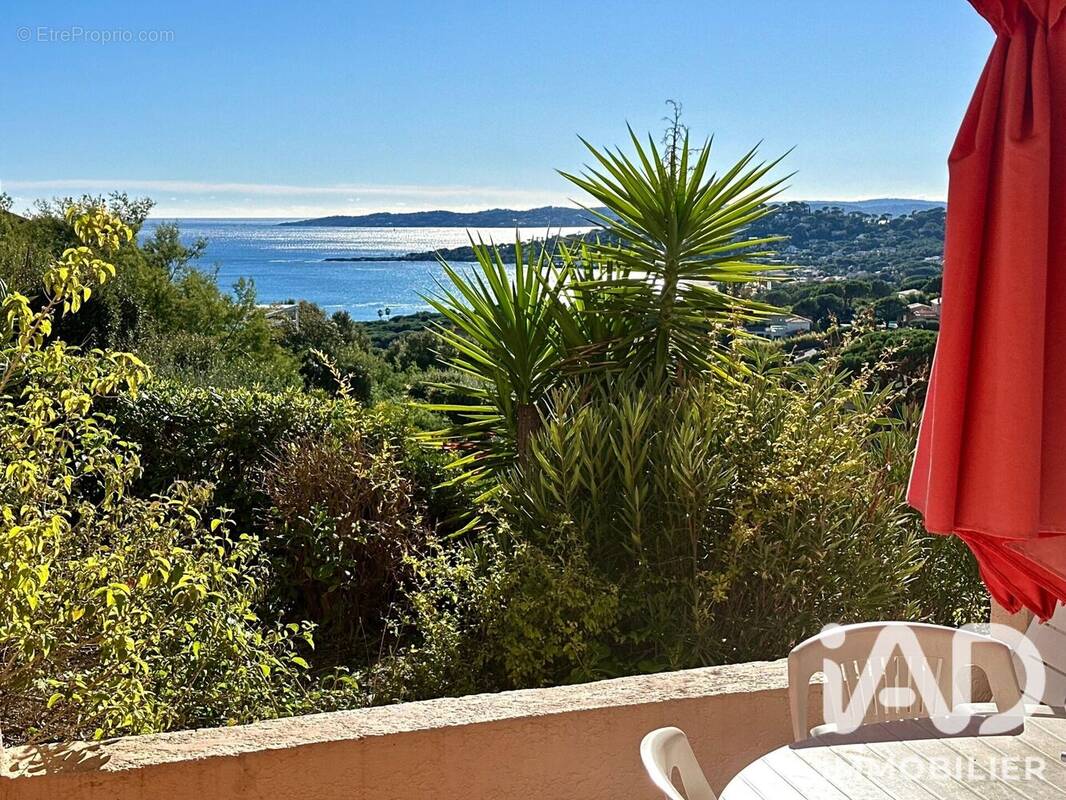 Photo 1 - Appartement à SAINTE-MAXIME