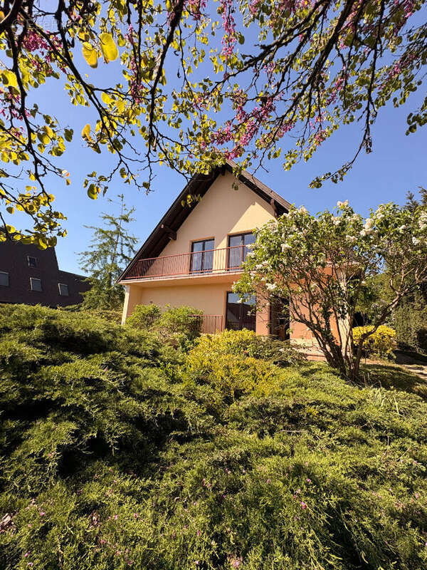 Maison à ECKBOLSHEIM