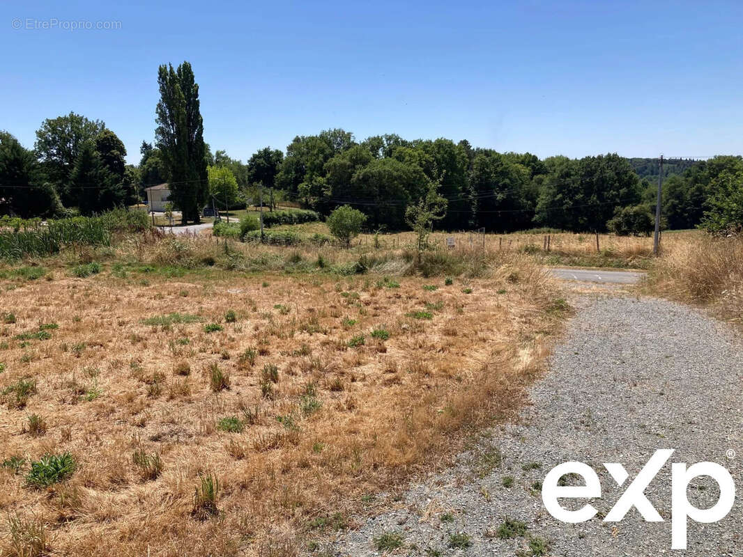 Terrain à THIVIERS