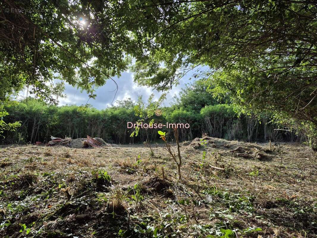 Terrain à LE VAUCLIN