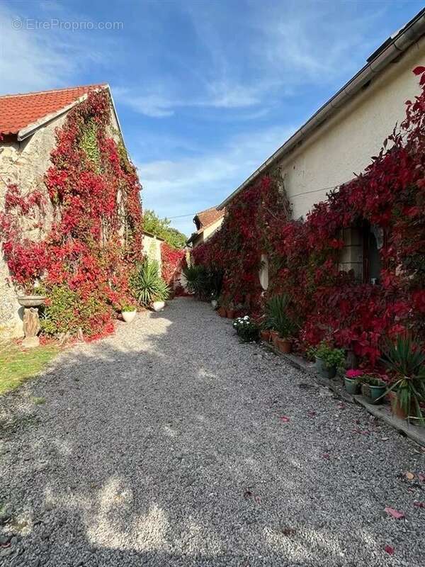 Charmante maison de hameau à vendre - Lussac-les-Églises 87 - photo 26
