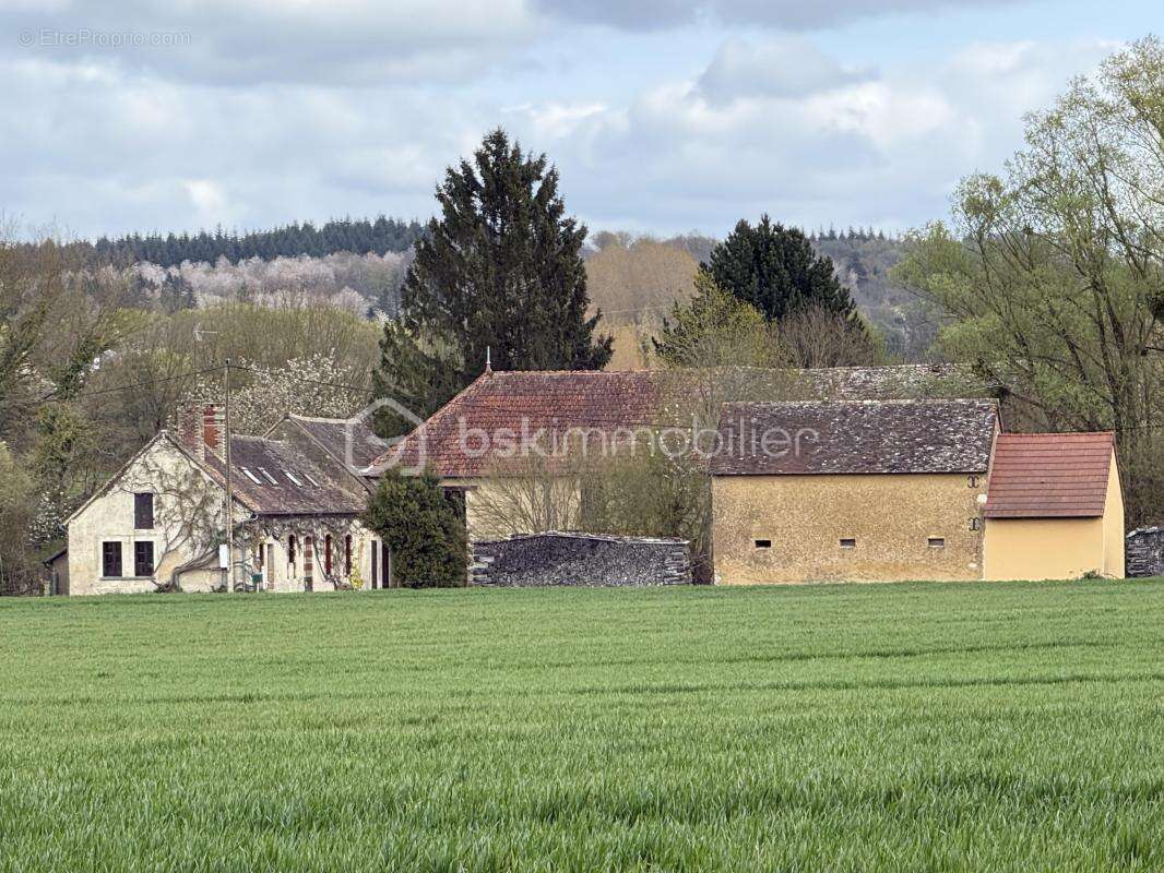 Grande longère avec dépendances sur parcelle de 4700 m² – Nogent-le-Bernard (35 min du Mans) - photo 4