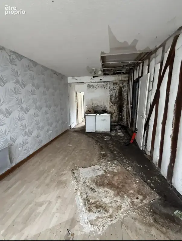 Commerce 55 m² à vendre à Vierzon (18100) - photo 4