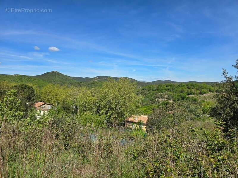 Terrain à QUINTILLAN