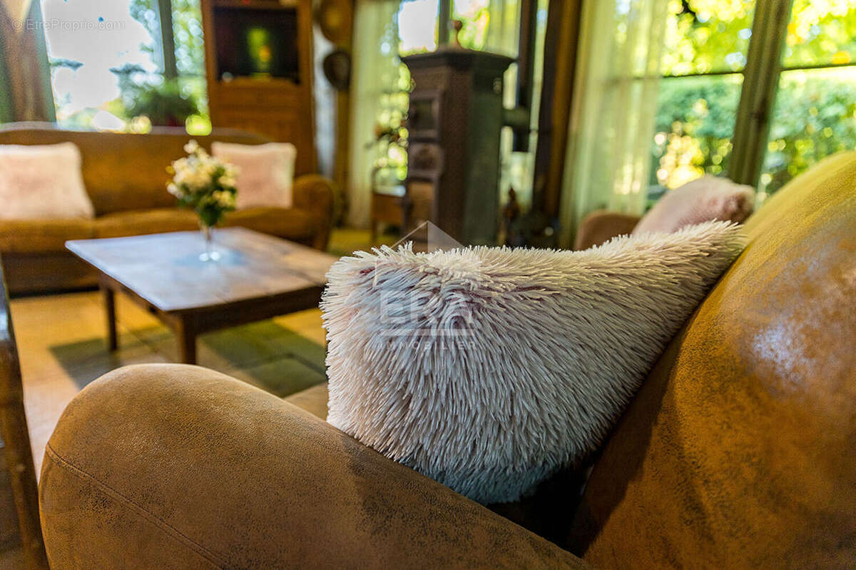 Demeure 37675m² à saint-vit - photo 15