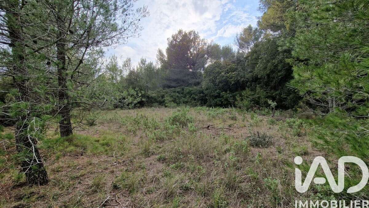 Photo 6 - Terrain à LEDENON
