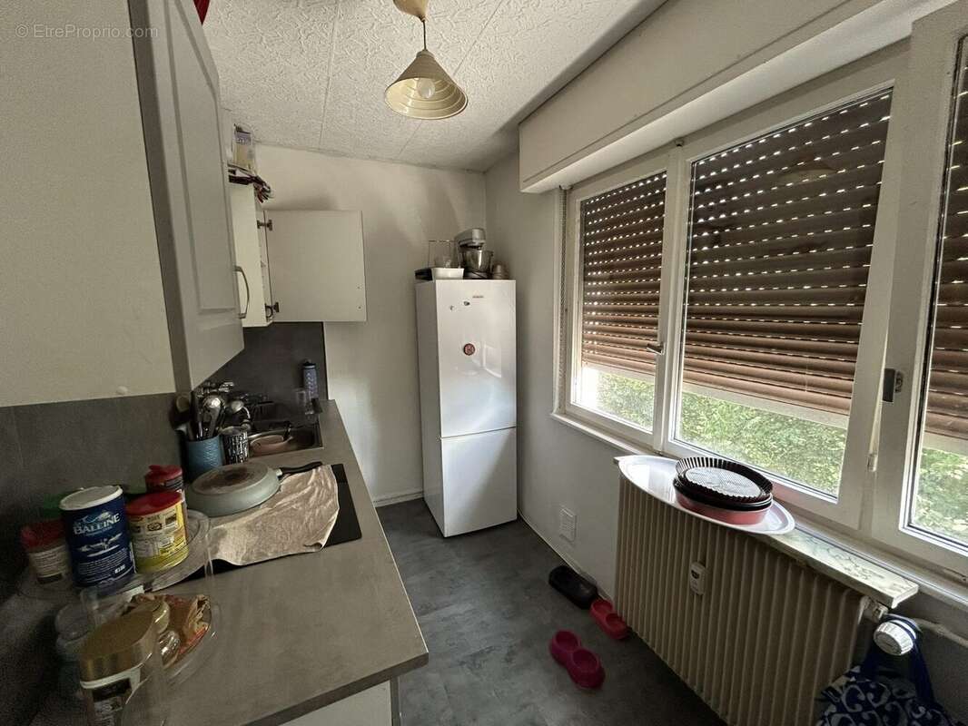 Appartement à SCHILTIGHEIM