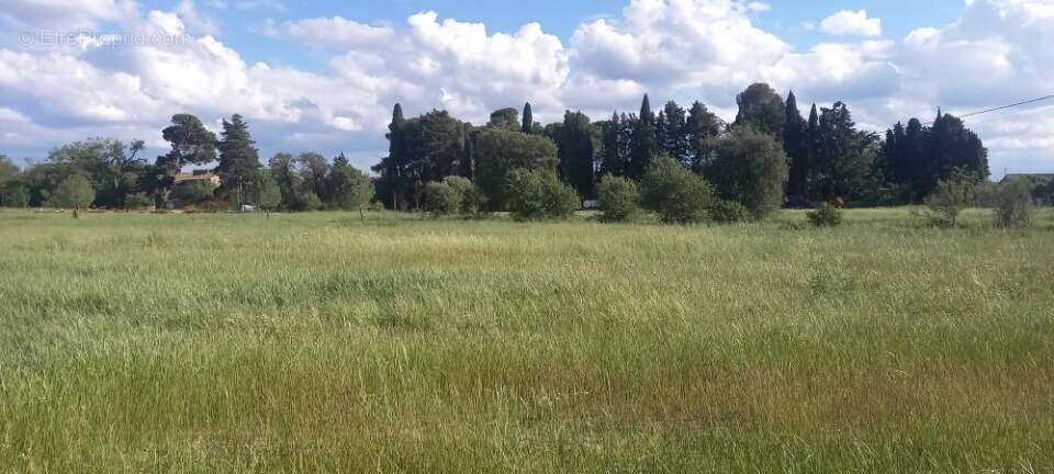 Terrain 537 m² à Cruscades  - photo 2