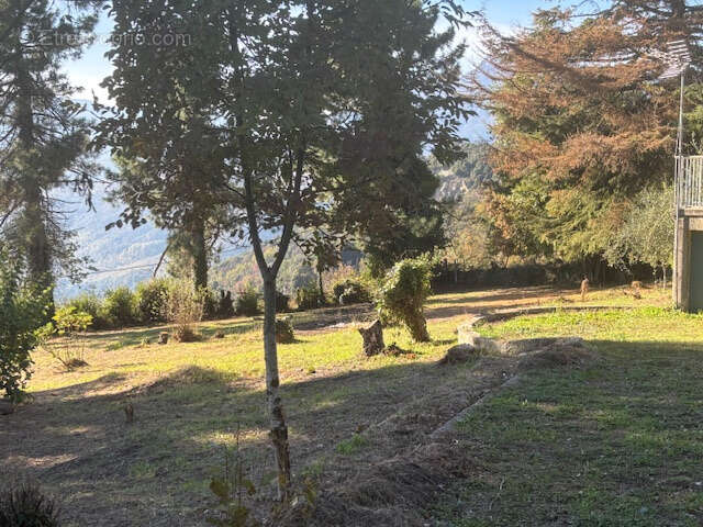 Maison 3 pièces à vendre à Piano (Haute Corse) — 83,25 m2 sur terrain de 2 230 m2 - photo 17