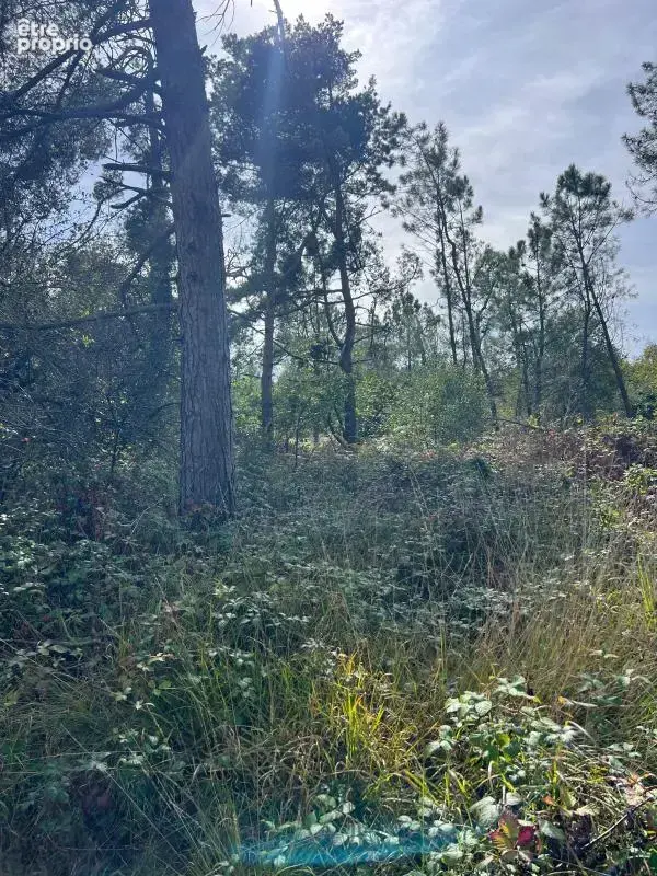 À vendre – argol – finistère – presqu’île de crozon-exceptionnel terrain de loisirs de 40 000 m² - photo 35