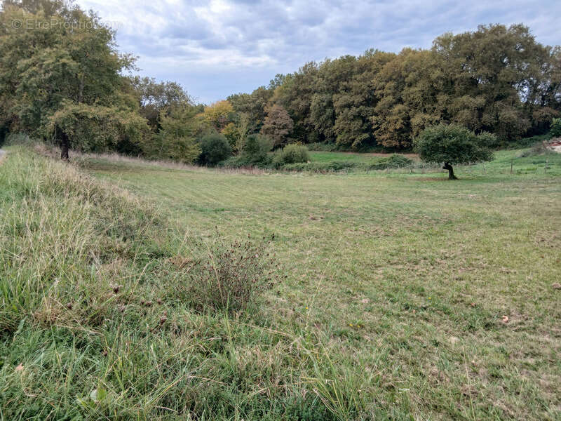 Terrain à SAINT-GENES-DE-LOMBAUD