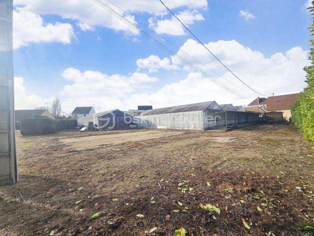 Commerce à SULLY-SUR-LOIRE