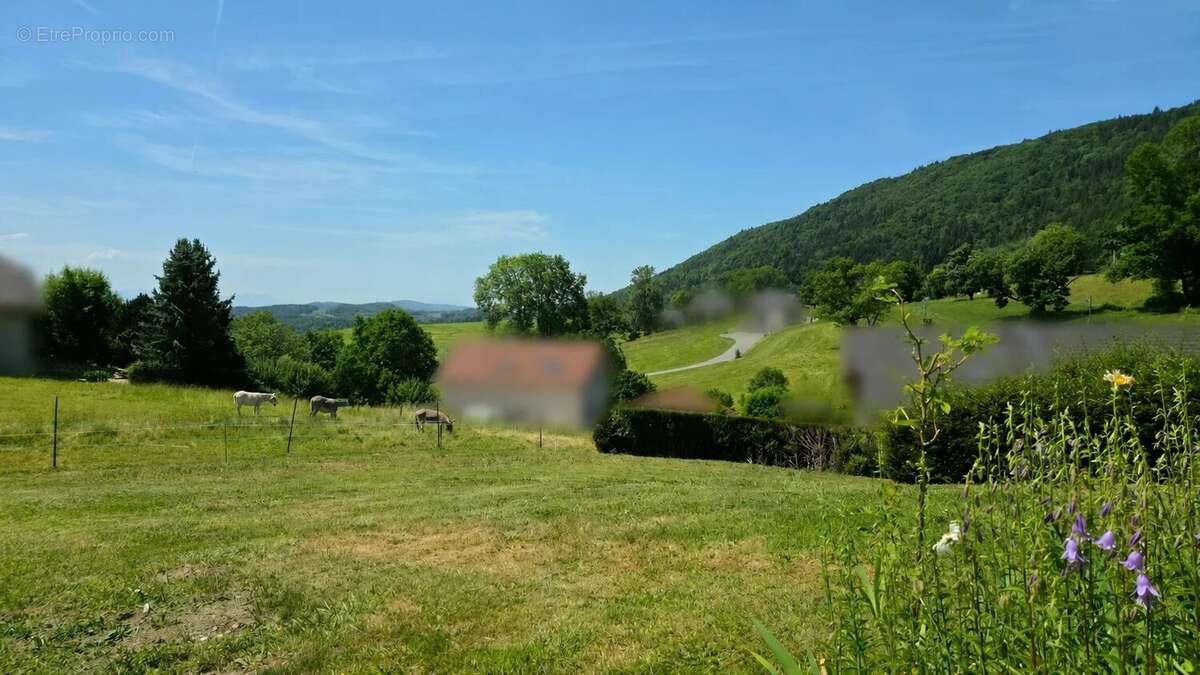 Terrain à VOVRAY-EN-BORNES