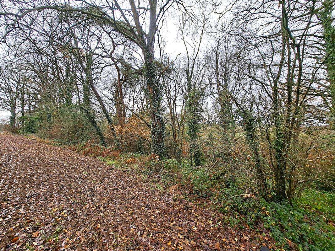Terrain à REGUINY