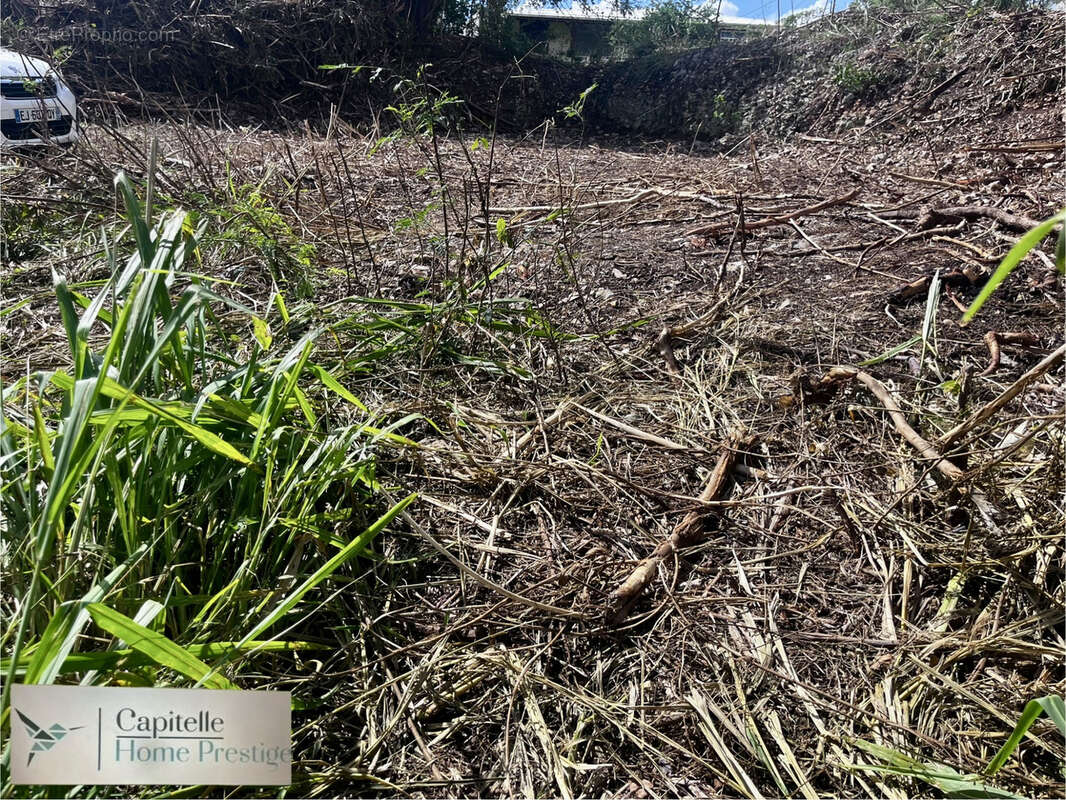 Terrain à SAINTE-ANNE