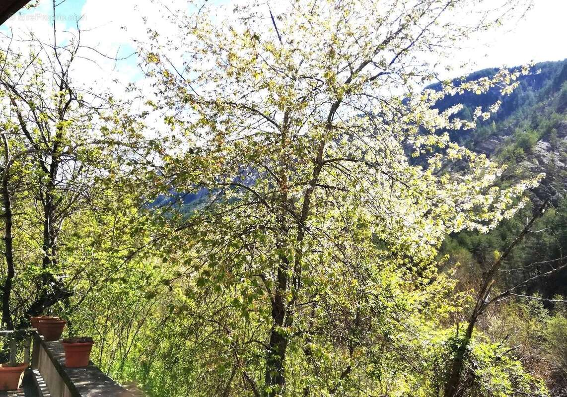 Maison à PUGET-ROSTANG