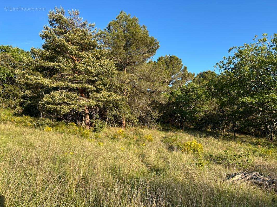  rare à baudinard-sur-verdon – terrain à bâtir 2 610 m² – cadre exceptionnel aux portes du verdon ! - photo 3
