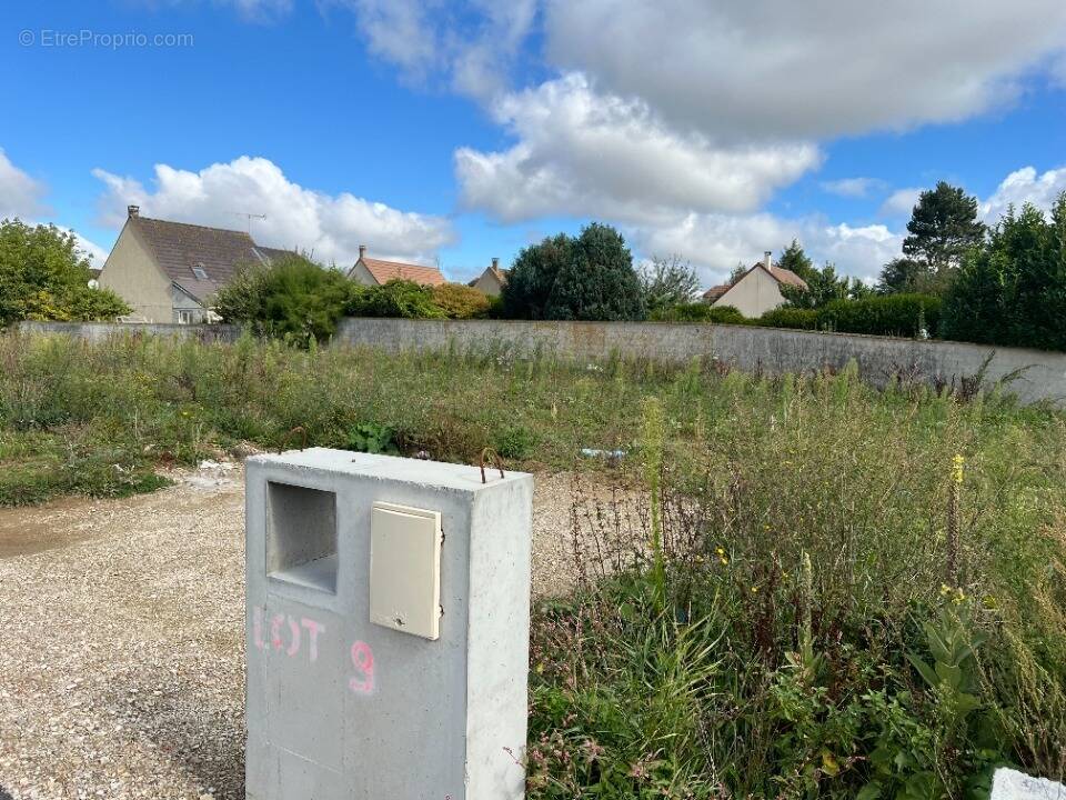 Terrain à SAINT-MARD