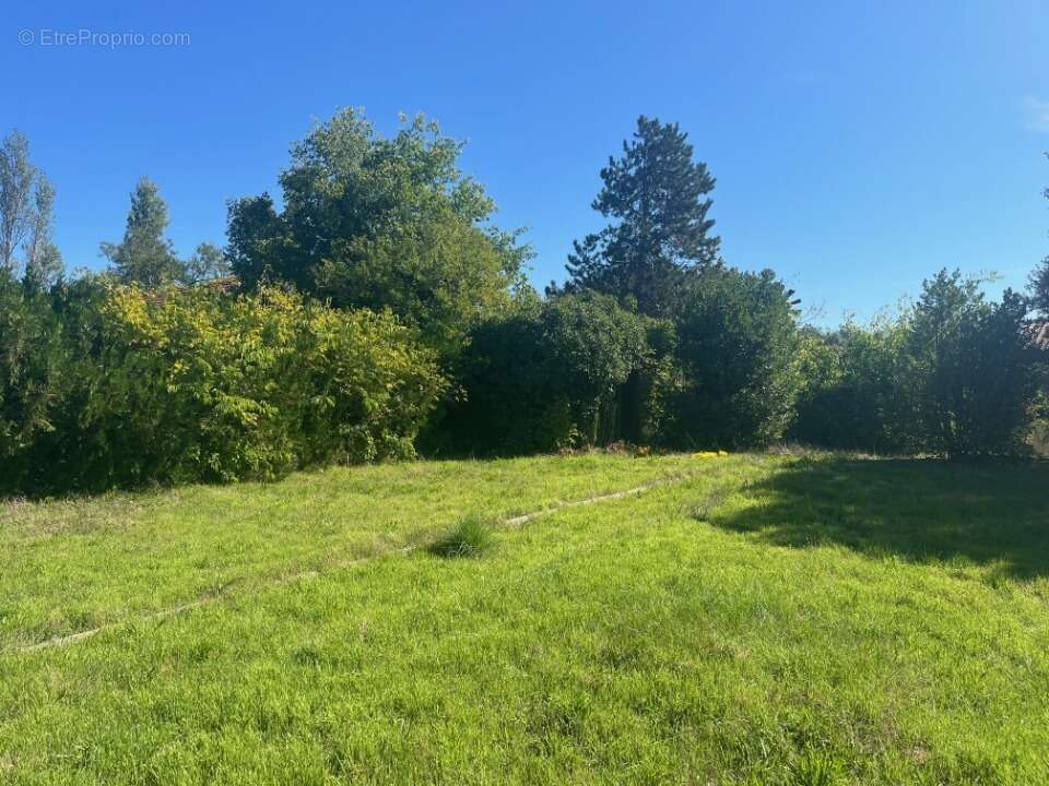 Terrain à MONTELIMAR