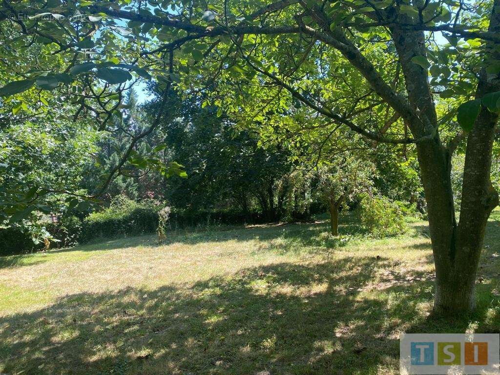 Maison à CAZARIL-TAMBOURES