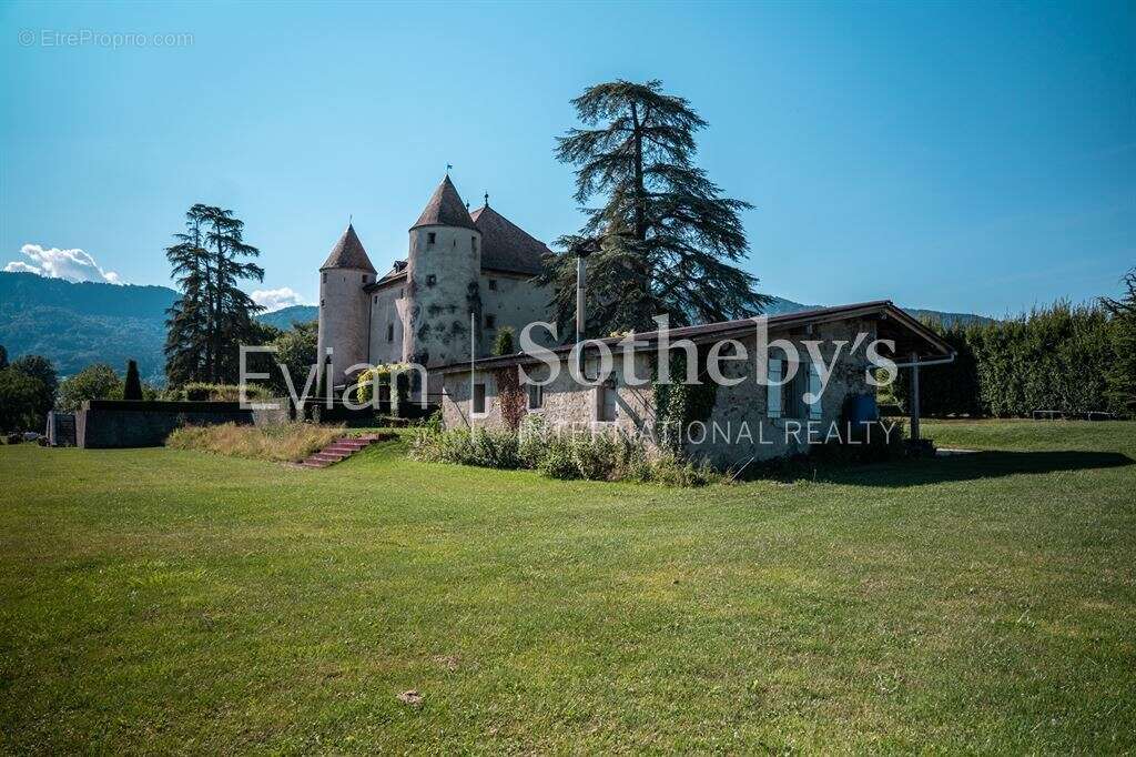 Château aux portes de genève - photo 14