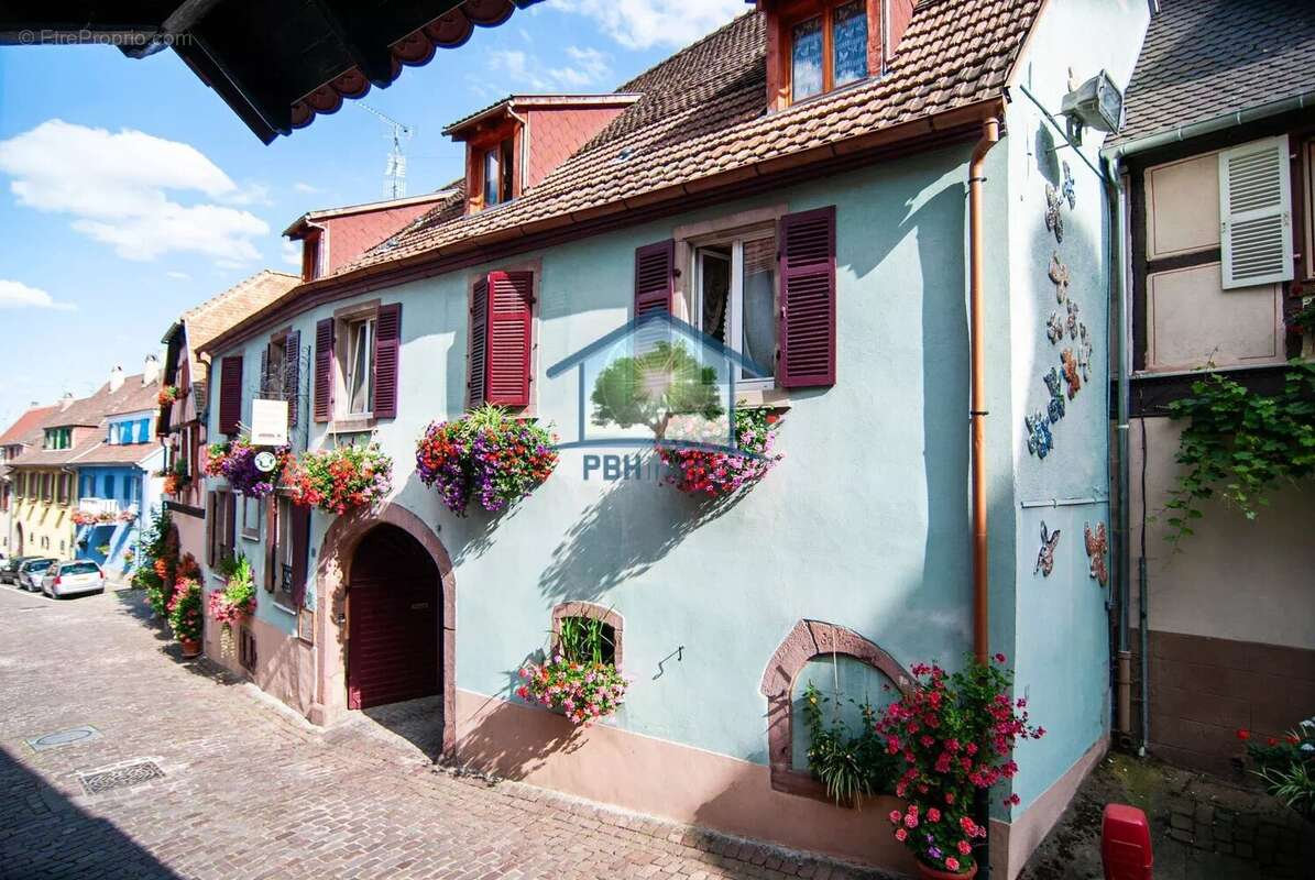 AMMERSCHWIHR (68) - Gîte & Chambres d'Hôtes Clé en Main - photo 32