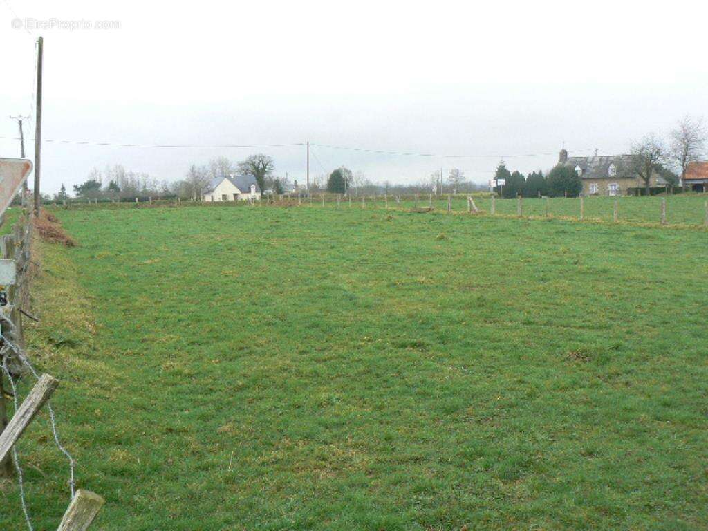 Terrain à LES LOGES-MARCHIS