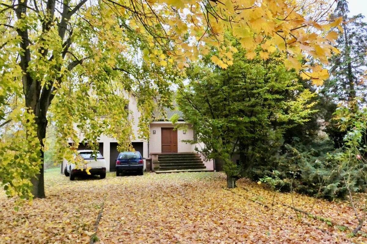 Photo 1 - Maison à COLMAR