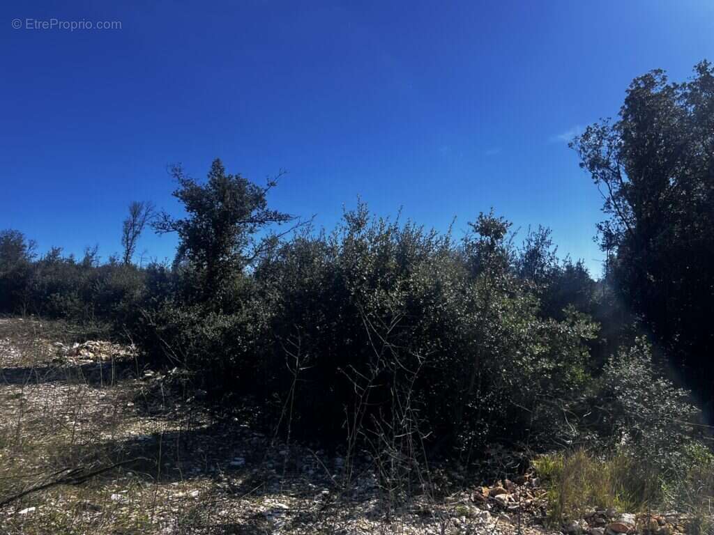 Terrain à BARJAC