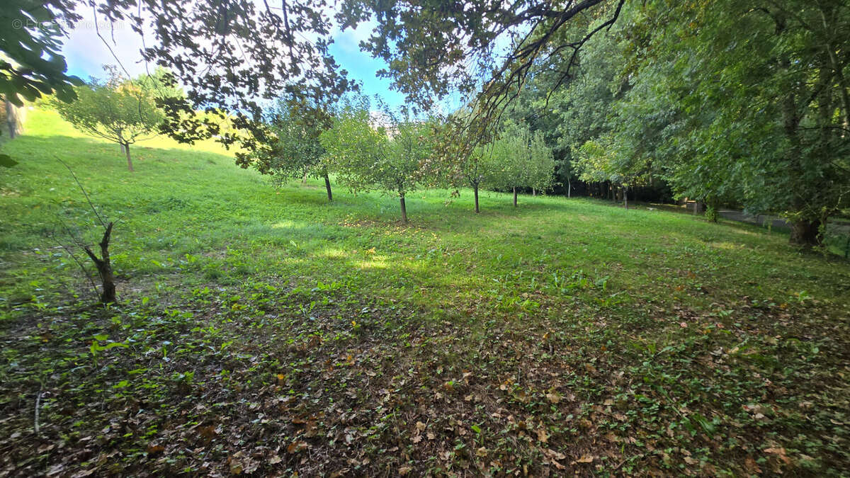 Terrain à MONDONVILLE