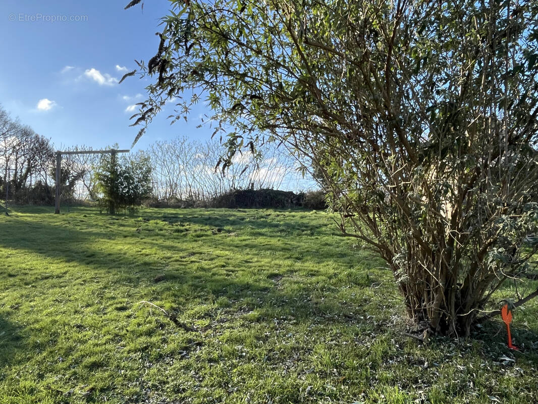 Terrain à QUEVEN