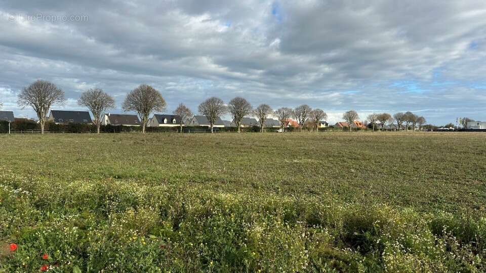 Terrain à SAINTE-CROIX-SUR-MER