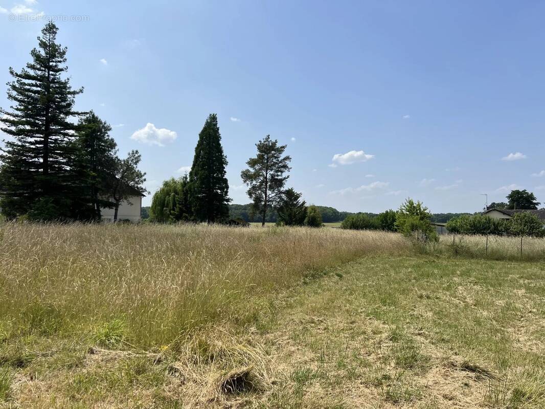 Terrain à SAINT-GEORGES-SUR-BAULCHE