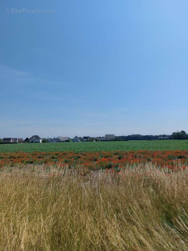 Terrain à ALGOLSHEIM