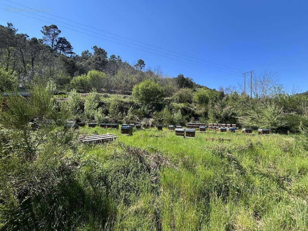 Maison à SAINT-ETIENNE-VALLEE-FRANCAISE