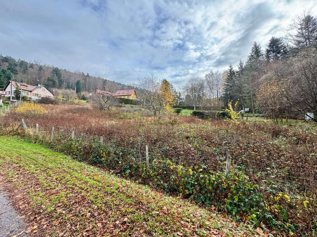 Terrain à SOLBACH