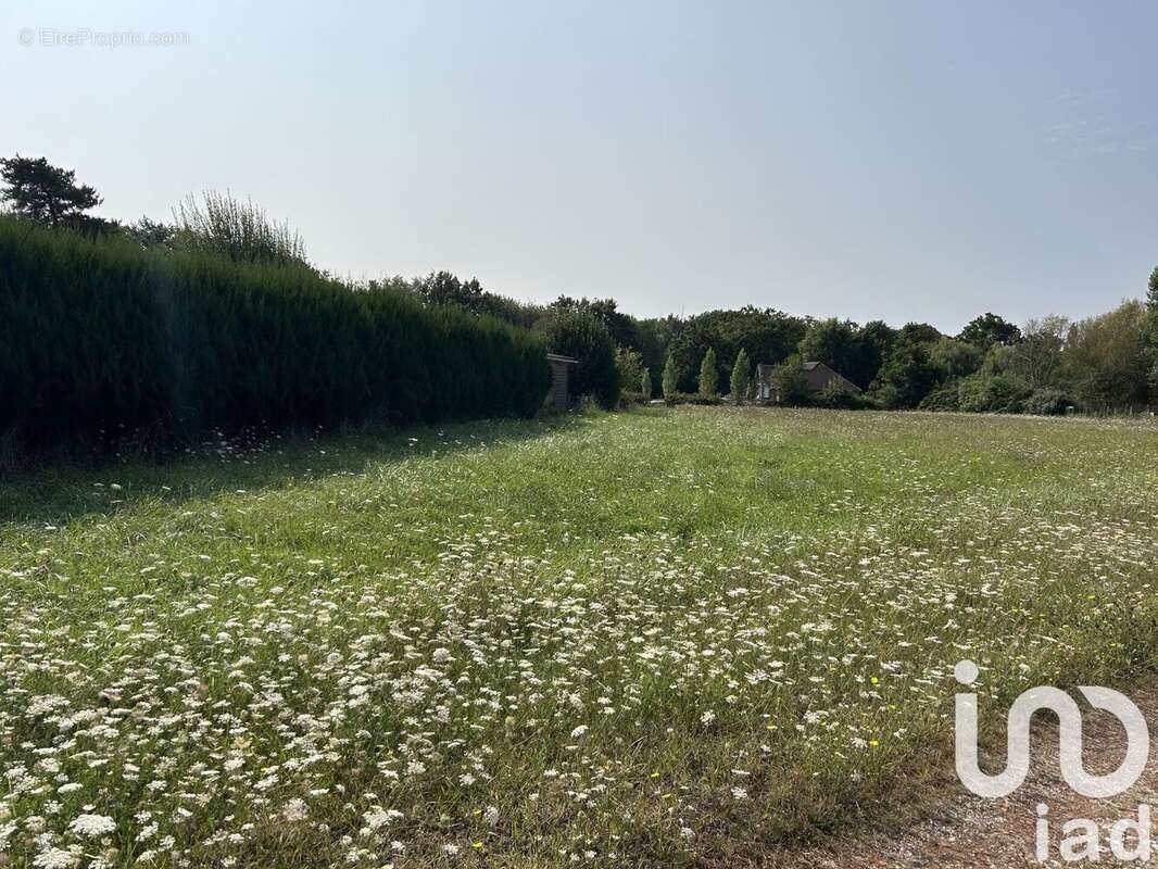 Photo 2 - Terrain à LA MAROLLE-EN-SOLOGNE