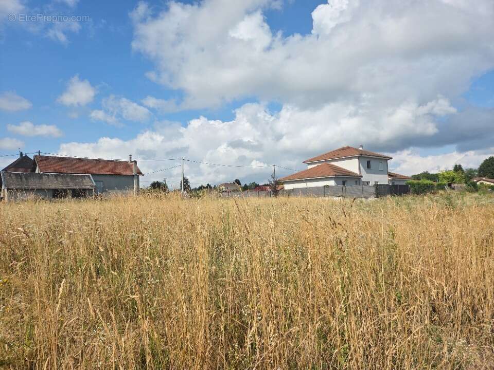 Terrain à SAINT-SORLIN-DE-MORESTEL