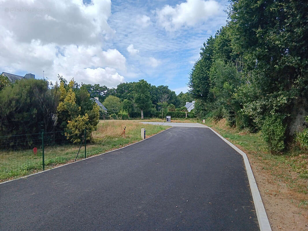 Terrain à SAINTE-ANNE-D'AURAY